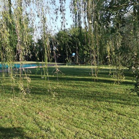 Residenza Il Platano Fortilizio Di Campiglia Rapolano Terme Exteriér fotografie