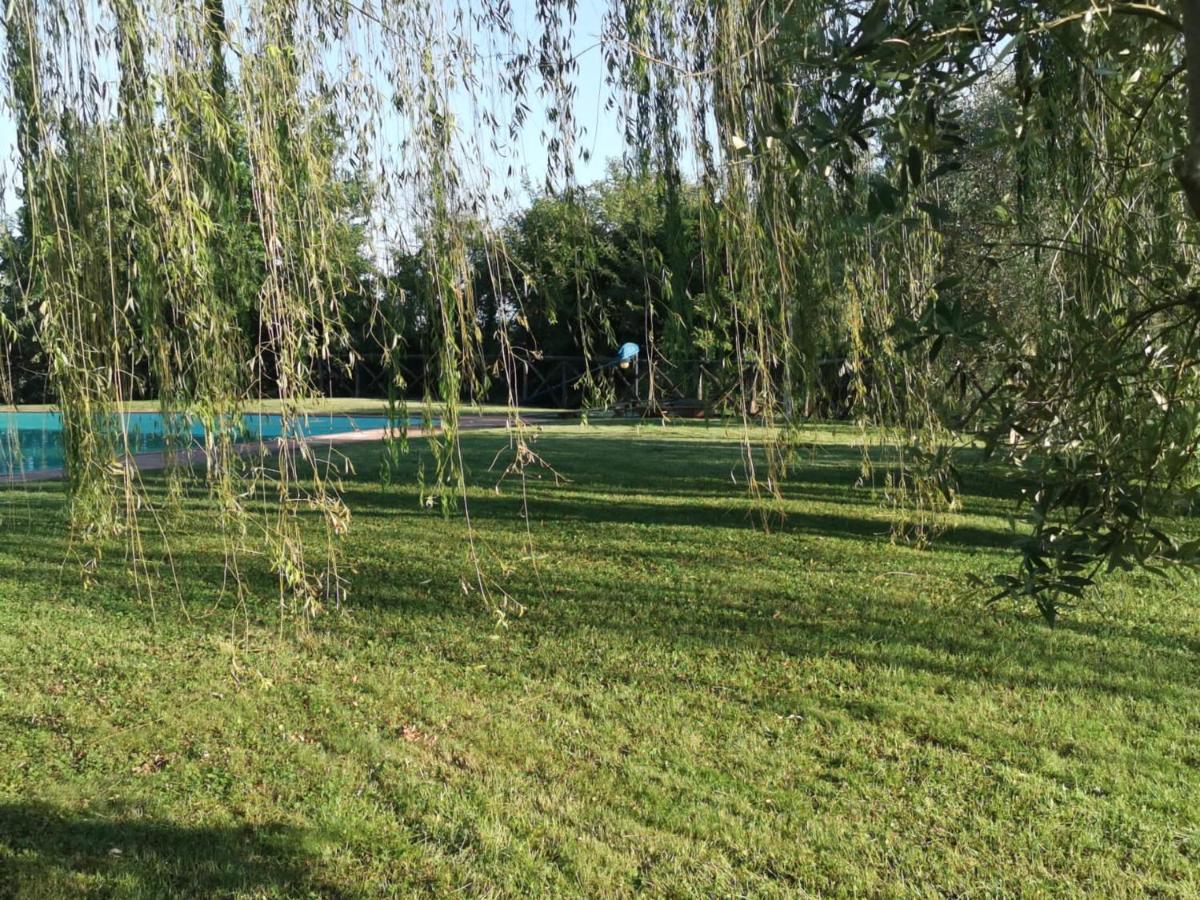Residenza Il Platano Fortilizio Di Campiglia Rapolano Terme Exteriér fotografie