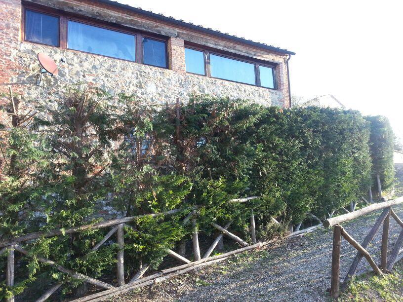 Residenza Il Platano Fortilizio Di Campiglia Rapolano Terme Exteriér fotografie